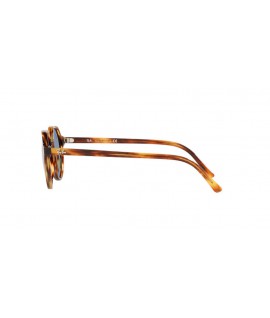 Occhiali da Sole - Modello - Ray-Ban Thalia Havana Striped